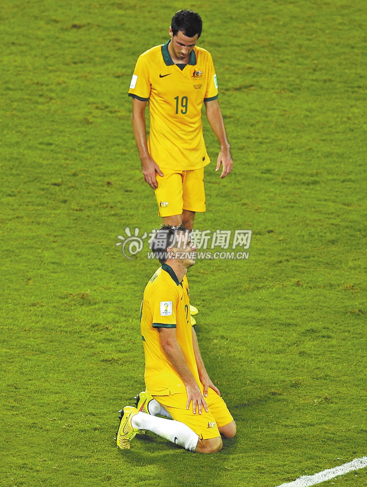 包含小牛犊主场一胜难求，艰难取得平局的词条