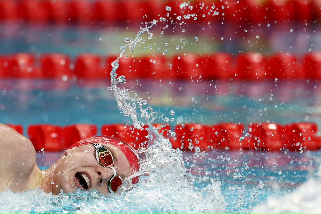 比利时游泳选手勇夺铜牌，引人注目的简单介绍