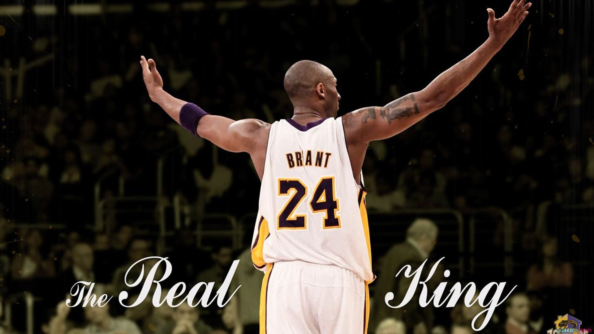 波兰神锋与东方剑客，赛场跨界传奇